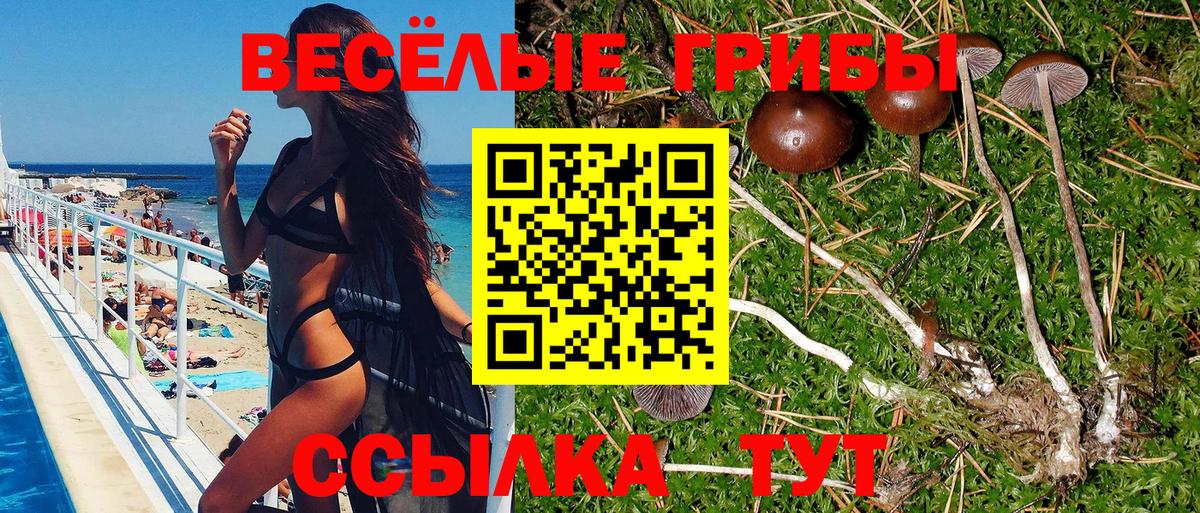 Псилоцибиновые грибы Magic Shrooms  Вход с VPN  Добрянка  Псилоцибиновые грибы Cubensis 